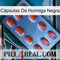 Cápsulas De Hormiga Negra 06